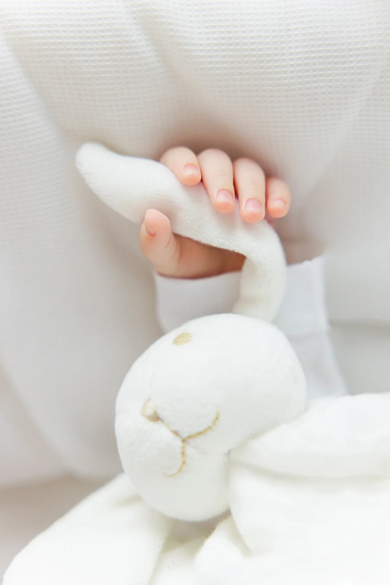 Augustin le lapin - Doudou coton bio - Image 3