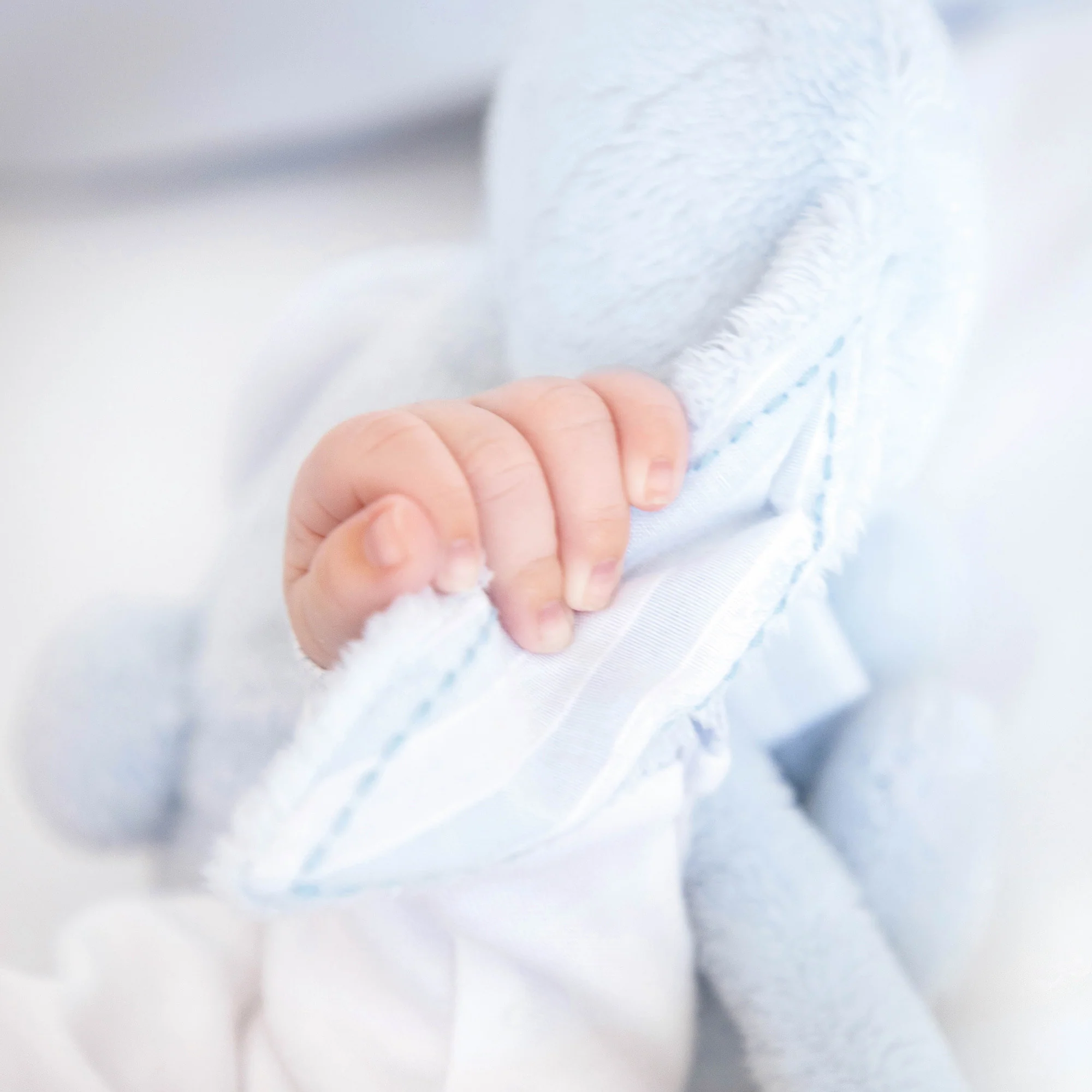Augustin le lapin - tout doux bleu ciel - Image 3