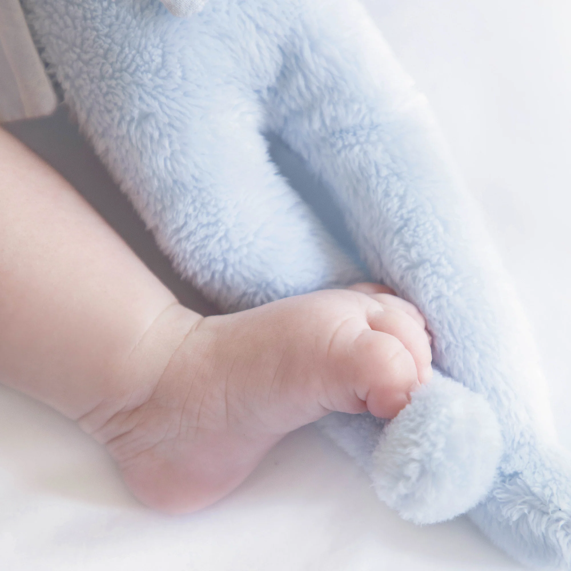 Augustin le lapin - tout doux bleu ciel - Image 4