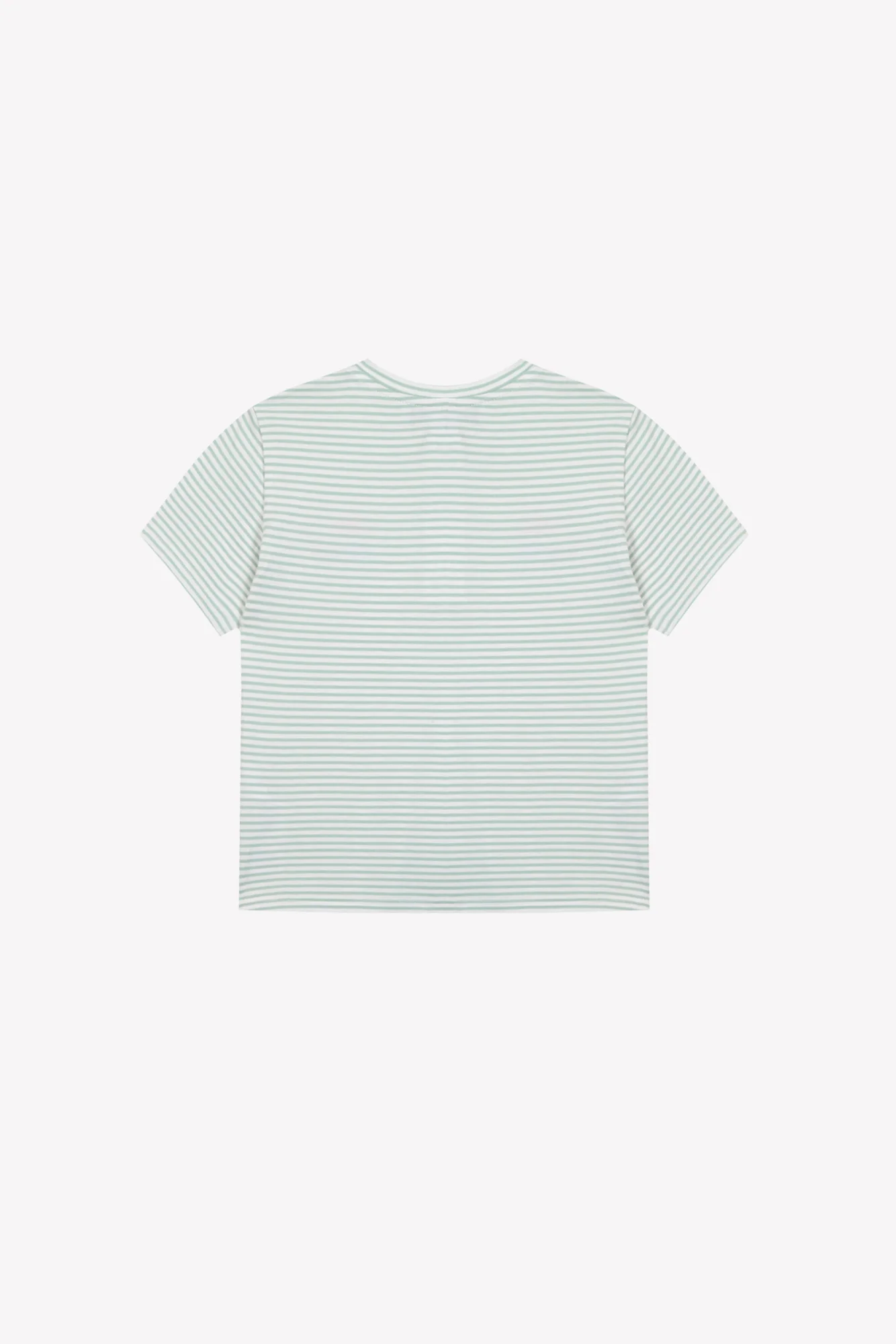 T-shirt - Sauge coton rayures dinosaures - Image 5