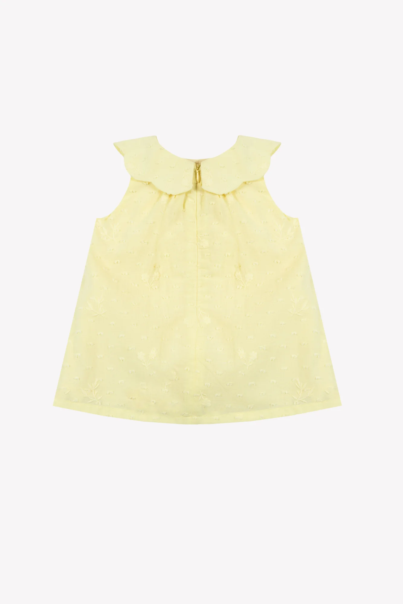 Robe - Citrus coton col claudine - Image 6