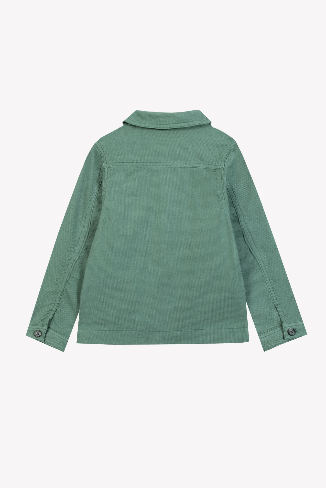 Veste - Kaki coton explorateur - Image 7
