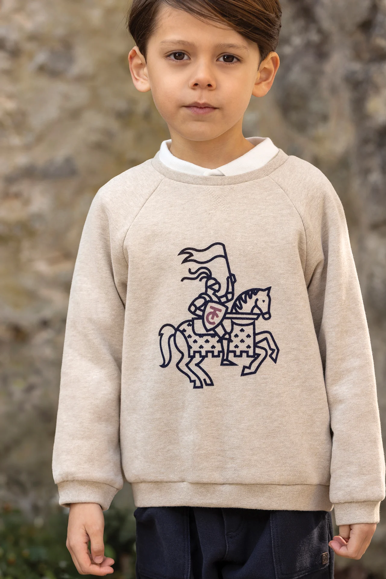 Pull - Sable coton imprimé chevalier