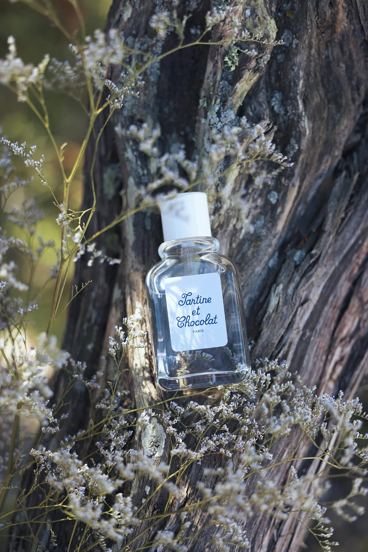 Eau de toilette - Ptisenbon - Image 3